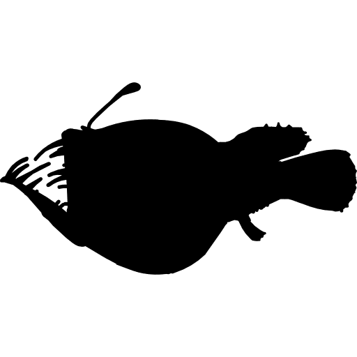 Fish anglerfish silhouette shape animal anglerfish icon