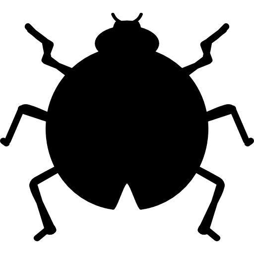 Insect catarina shape shapes insects insect icon