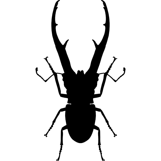 Insect chalcosoma beetle shape animal kingdom animal animals icon