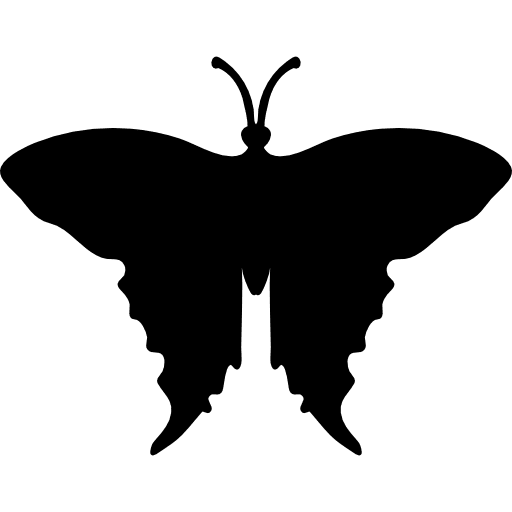 Swallowtail butterfly shape animal kingdom insects top view icon