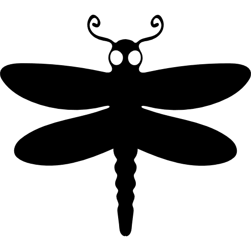 Dragon fly winged animal top view animal wings insects icon