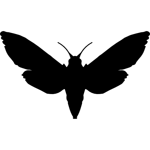 Sphinx top view silhouette animal kingdom flying silhouette icon