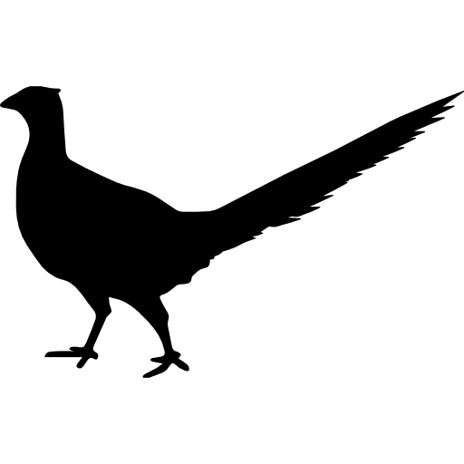 Bird peasant animal shape silhouettes bird animal icon