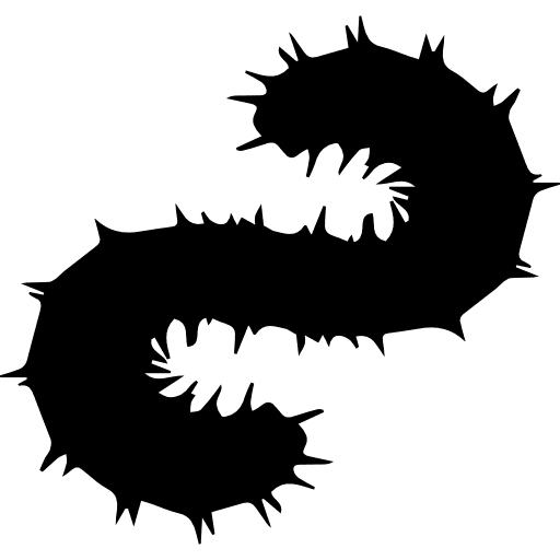 Wooly worm shape worms animal kingdom silhouette icon