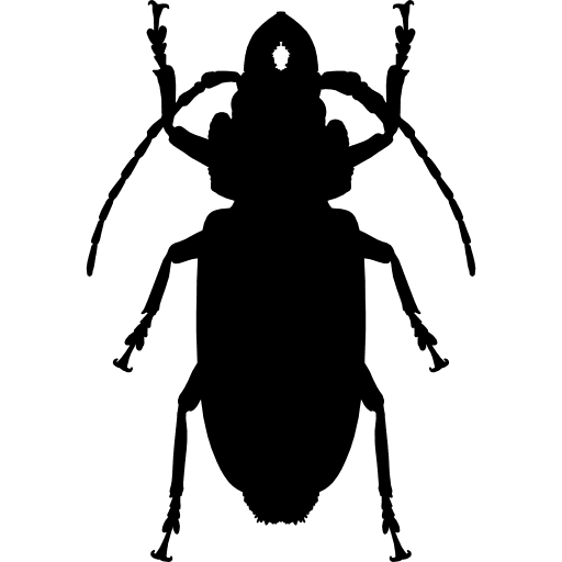 Cockroach shape animals animal kingdom cockroach icon