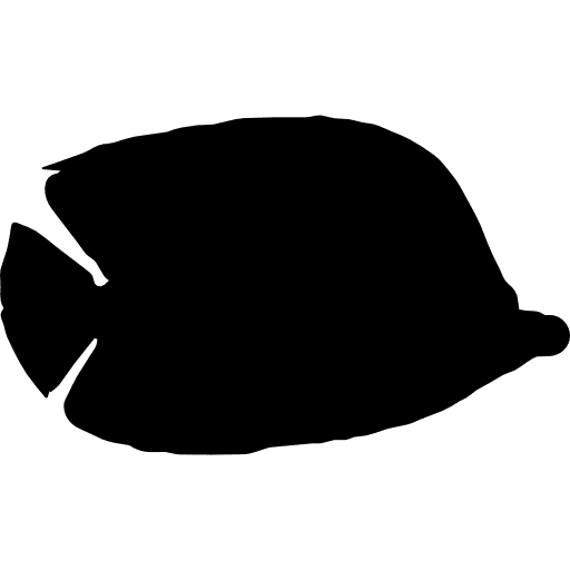 Fish dimidiatus shape fish animal shape icon