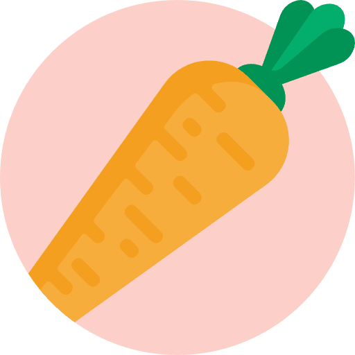 Carrot organic diet vegetarian icon