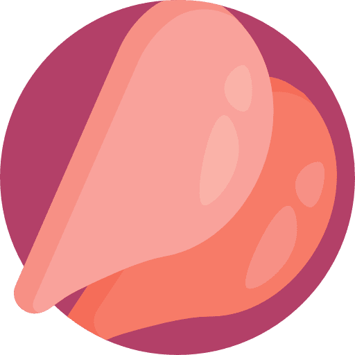 Chicken chicken leg nuggets food icon