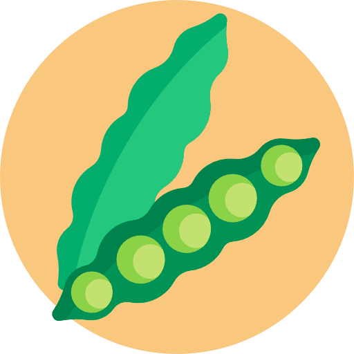 Peas vegetable healthy food diet icon