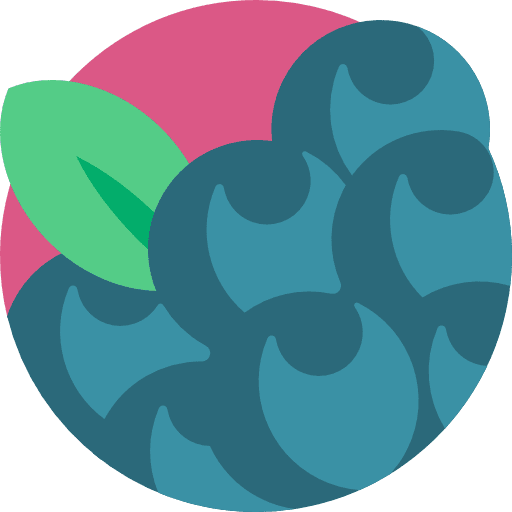 Blueberry fruit vegetables healthy food icon