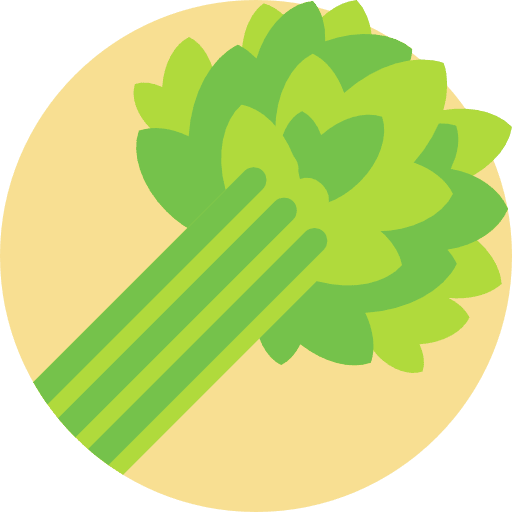 Celery healthy food food food and restaurant icon