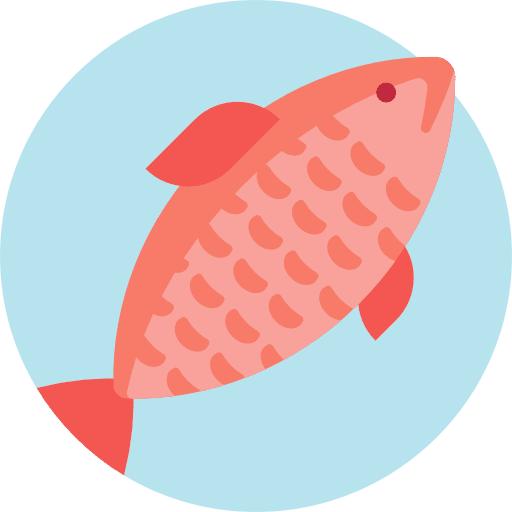 Fish animals animal foods icon