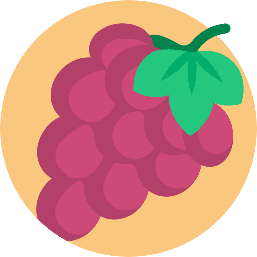 Grape vegan organic grapes icon