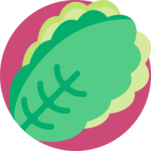 Lettuce healthy food diet cooking icon