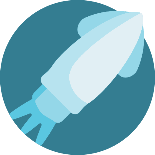 Squid aquatic food and restaurant squid icon