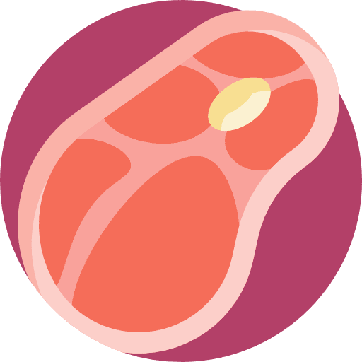 Steak barbecue meat grilled icon