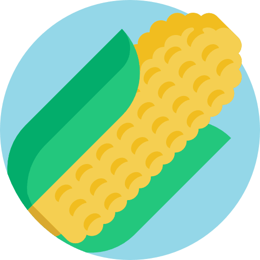 Corn organic vegetarian healthy food icon