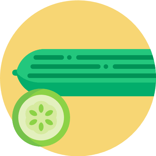 Cucumber organic fruit cucumbers icon