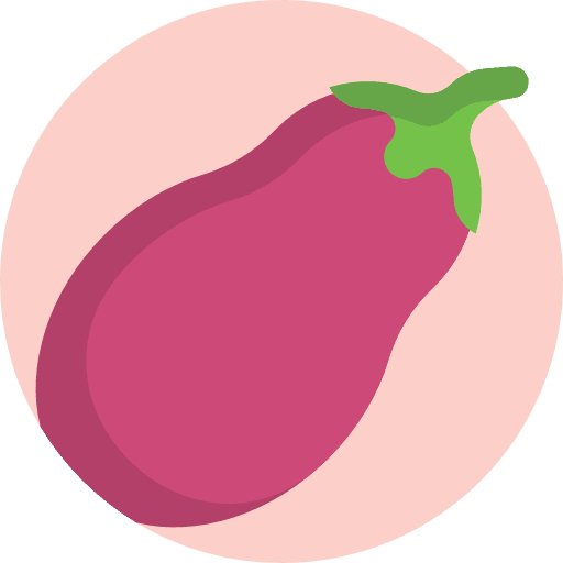 Eggplant food vegetarian vegetables icon
