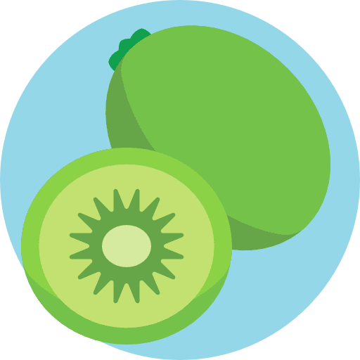 Kiwi organic kiwi healthy food icon