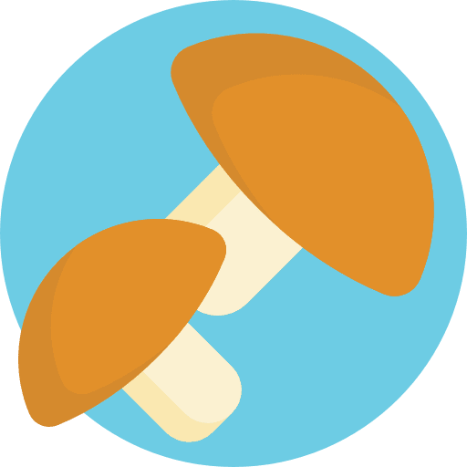 Mushroom food vegan mushroom icon