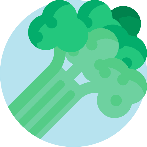 Vegetable broccoli vegetarian vegan icon
