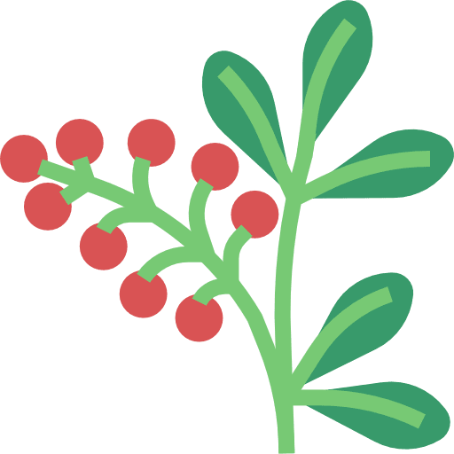 Berries berries plant nature icon