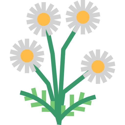Chamomile essential flower therapy icon