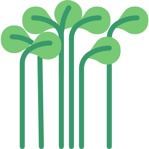 Cress food and restaurant farming and gardening nature icon
