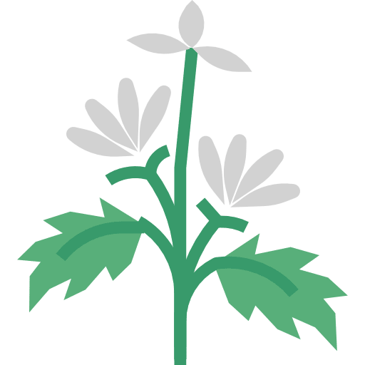 Herb basil vegan herb icon