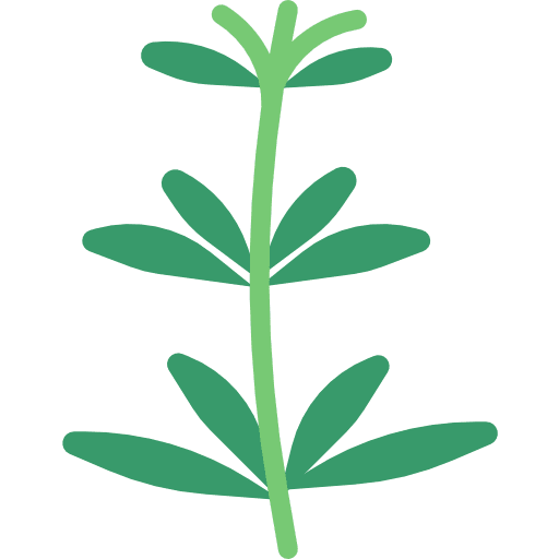 Herb properties healing plant icon