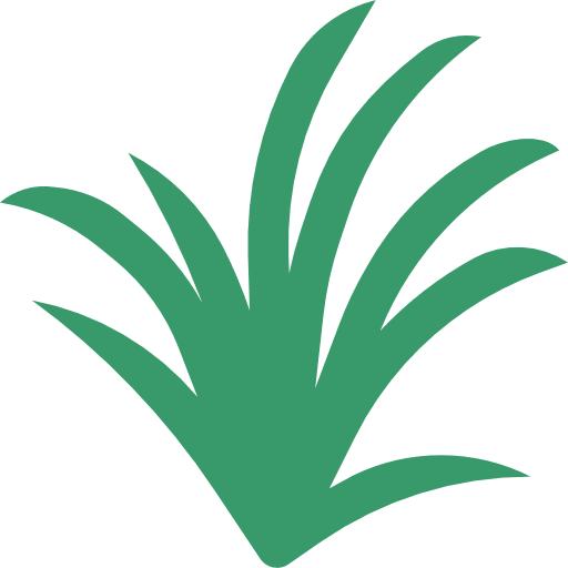 Lemongrass vegetable lemongrass food icon