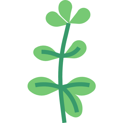 Oregano nature healthy food spice icon