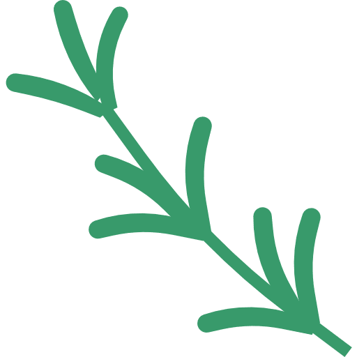 Rosemary scent rosemary nature icon