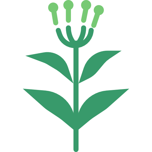 Clove vegetarian garlic food icon Clove vegetarian garlic food icon