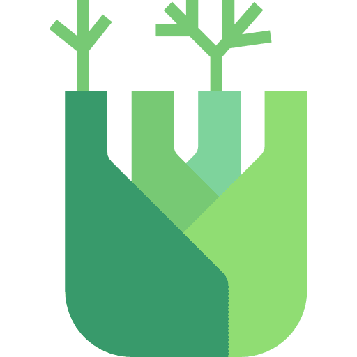 Fennel fennel food and restaurant organic icon Fennel fennel food and restaurant organic icon