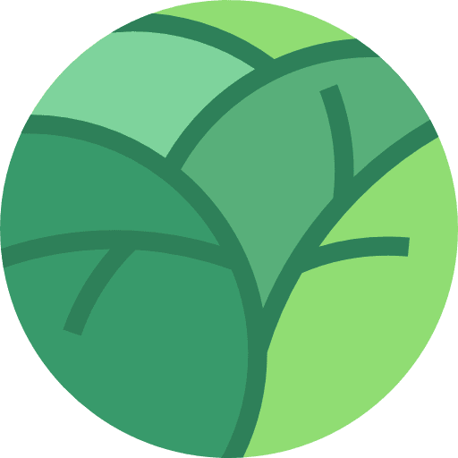 Ginkgo nature ginkgo vegetables icon Ginkgo nature ginkgo vegetables icon