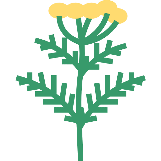 Herb healthy food organic spice icon Herb healthy food organic spice icon