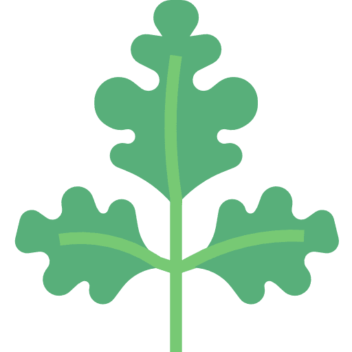 Parsley nature food vegetarian icon Parsley nature food vegetarian icon