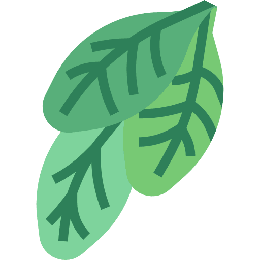 Spinach diet vegetable healthy food icon Spinach diet vegetable healthy food icon