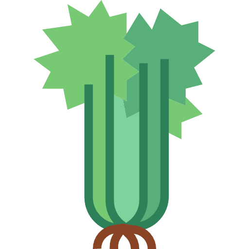 Celery diet food and restaurant food icon Celery diet food and restaurant food icon