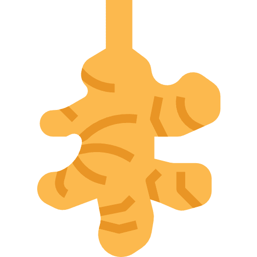 Ginger vegetarian food ripe icon Ginger vegetarian food ripe icon