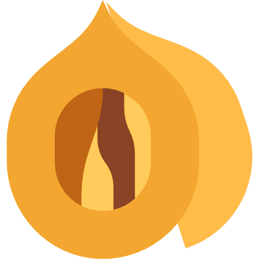 Nut nut fruit nature icon Nut nut fruit nature icon