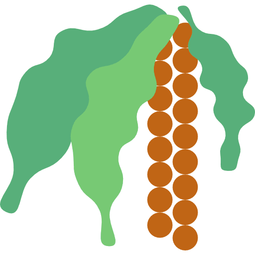 Vegetable organic healthy food diet icon Vegetable organic healthy food diet icon