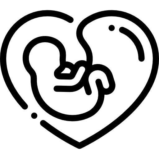 Pregnant pregnancy pregnant maternity icon