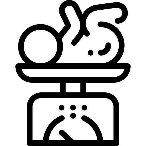 Baby weight scale kid and baby newborn icon