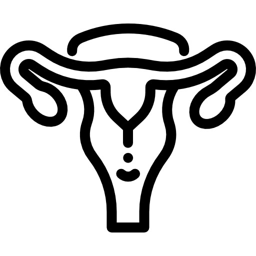 Uterus ovary female organs ovaries icon