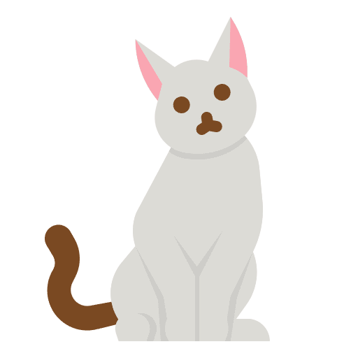 Cat cat pet animals icon