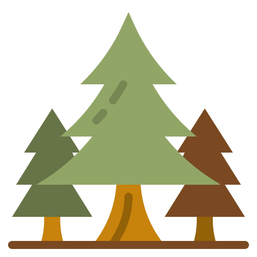 Pine christmas tree nature forest icon