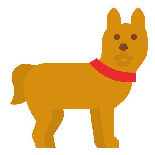 Dog animal kingdom mammal animal icon Dog animal kingdom mammal animal icon